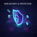 امن المعلومات - Web security